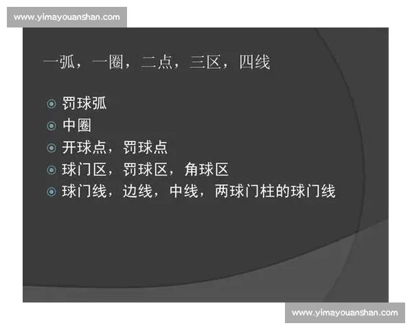 体育运动竞赛规则详解与裁判判罚标准全面指南